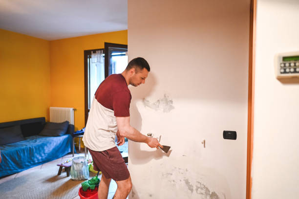 Best Black Mold Remediation in Murphysboro, IL